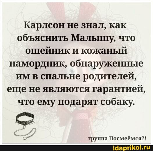 Карлсон не знал как объяснить Малышу что ошейник и кожаньпЗі намордник обнаруженные им в спальне родителей еще не являются гарантией что ему подарят собаку Ф_ группа Посмеёмся