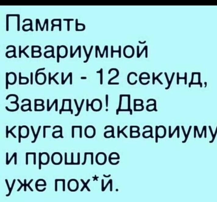 Память аквариумной рыбки 12 секунд Завидую Два круга по аквариуму и прошлое уже похй