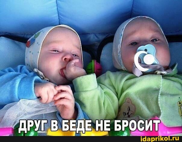 Жвівві ЕдНЕ ввоси