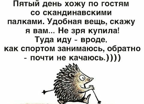 Пятый день хожу по гостям со скандинавскими папками Удобная вещь скажу я вам Не зря купила Туда иду вреде как спортом занимаюсь обратно почти не качаюсь