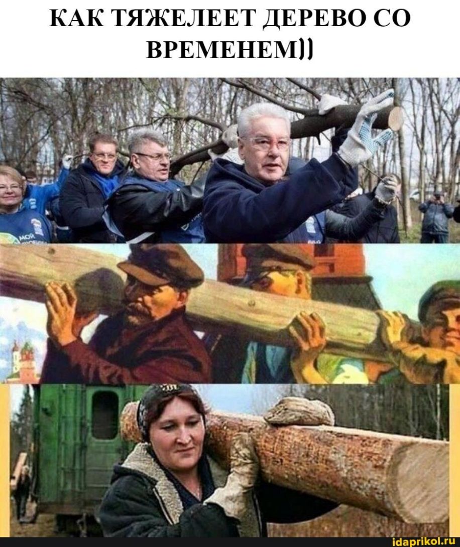 КАК ТЯЖЕЛЕЕТ ДЕРЕВО СО