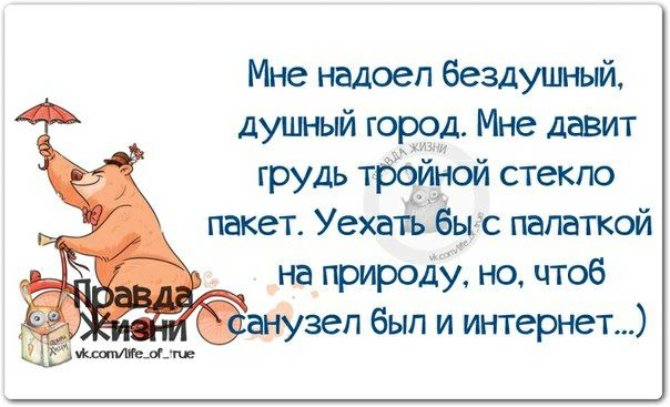 Мне надоел бездушный душный швед Мне давит грудь тбёйной стекло пакет Уехать бнгс палаткой на природу но чтоб д анЗзеп был и интернет
