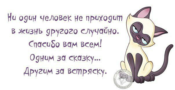 Ни оуин ЧеЛовек не приХоуит в жизнь уругого сдучайно Спасибо вам Всем 091 за СКОЗКу Другим за Встряску