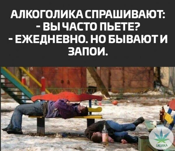АЛКОГОЛИКАСПРАШИВАЮТ ВЫ ЧАСТО ПЬЕТЕ ЕЖЕДНЕВНО НО БЫВАЮТ И ЗАПОИ гг 1 А вы 1 джи тяг _
