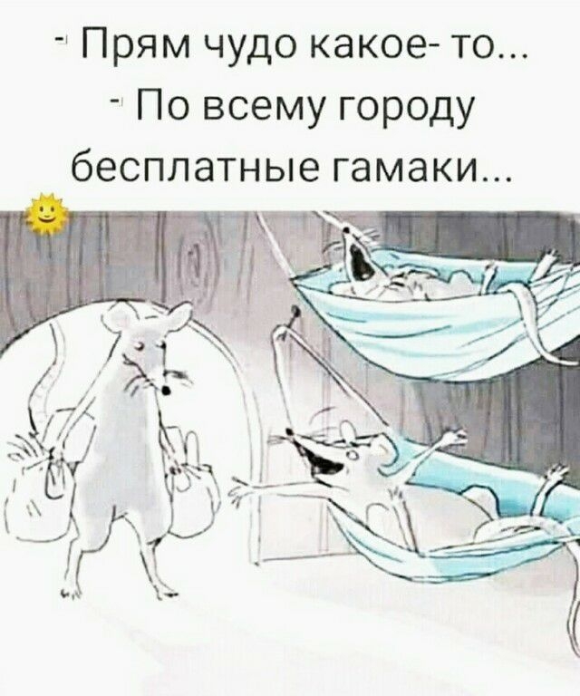 Прям чудо какое то По всему городу бесплатные гамаки