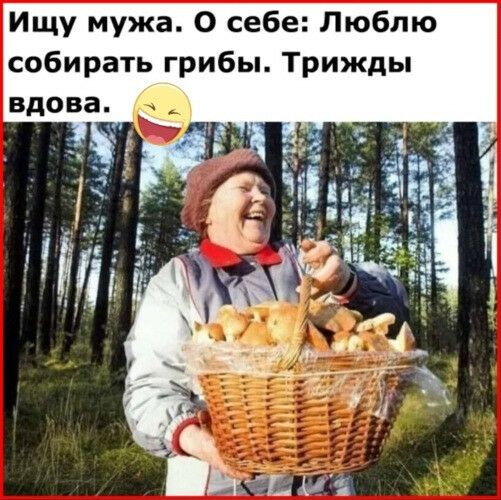 Ищу мужа О себе Люблю собирать грибы Трижды