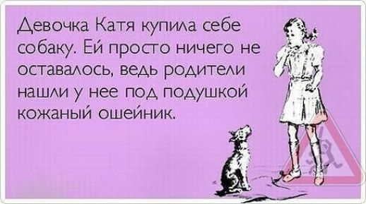 Девочка Катя купиа себе собаку Ей просго ничего не оставить ведь родитехи нашххи у нее под подушкой кожаный ошейник