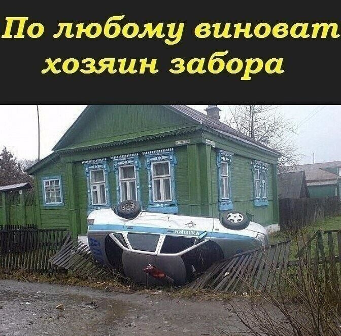 По любому виноват хозяин забора