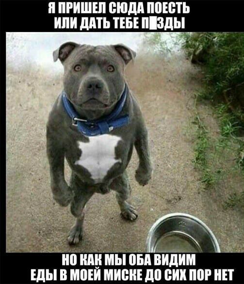 п ПРИШЕЛ пюдд МЕСТЬ ИЛИ МТБ ТЕБЕ зды Ёп видим мы в мови мини до сих пог НЕТ