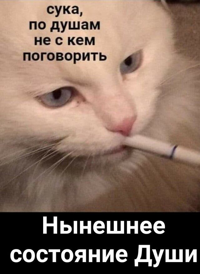 сука по душам не с кем поговорить _ Нынешнее состояние Души