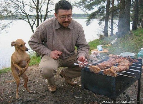 _ у _свы_зпвс