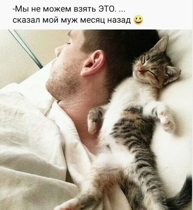 Мы не можем взять ЭТО сказал мой муж месяц назад 3