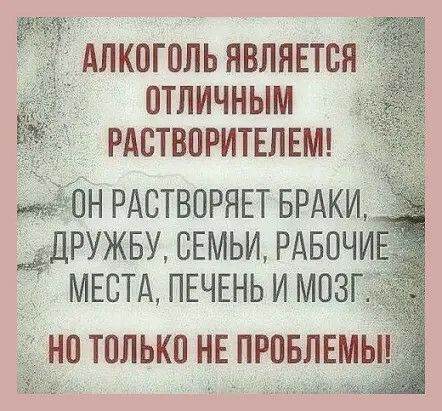 ОТЛИЧНЫМ РАОТВОРИТЕЛЕМ ОН РАСТВОРЯЕТ БРАКИ __ёДРУЖБУ СЕМЬИ РАБОЧИ МЕСТА ПЕЧЕНЬ И МО _НО ТОЛЬКО НЕ ПРОБЛЕМЬ