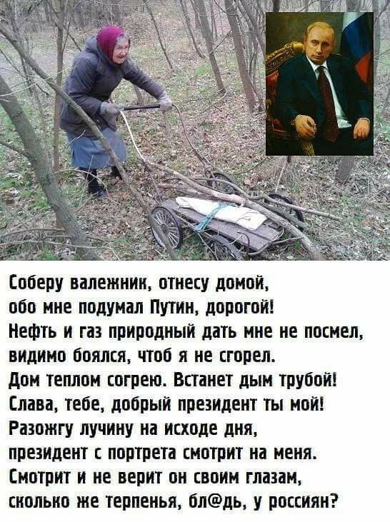 оберу валежнин отнесу домой обо мне подумал Путин дорогой Нефть и газ природный дать мне не посмел видимо боялся чтоб я не сгореп дбн теплом согрею Встанет дым трубой Слава тебе добрый президент ты мой Разожгу пучину на исходе дня президент с портрета смотрит на меня Смотрит и не верит он своим глазам сколько же терпенья бпдь у россиян