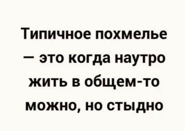 Типичное похмелье это когда наутро жить в общем то можно но стыдно