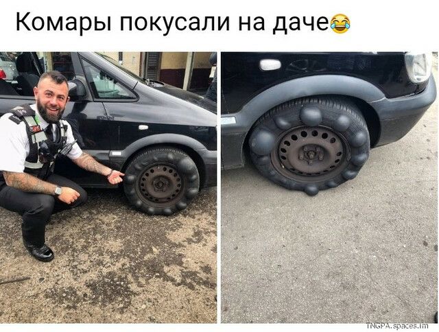 КОМдРЫ ПОКУСЭЛИ Нд дачевъ