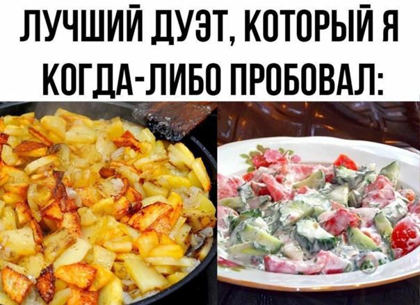 ЛУЧШИЙ ДУЗТ КОТПРЫЙ Я КОГДА ЛИБО ПРПБОВАЛ