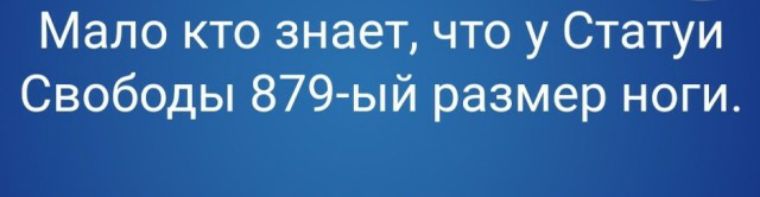 Мало кто знает что у Статуи Свободы 879 ый размер ноги