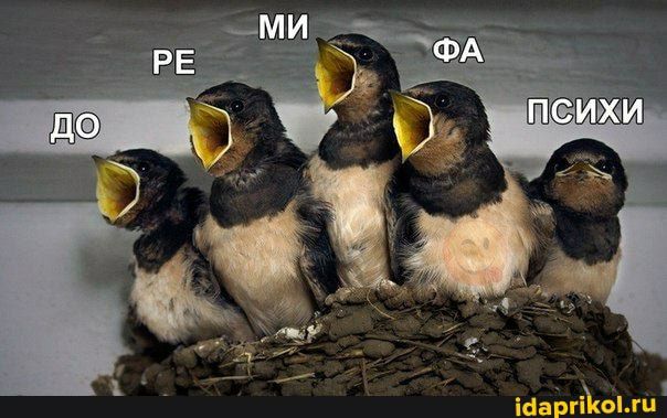 ШаЬгйюіхи