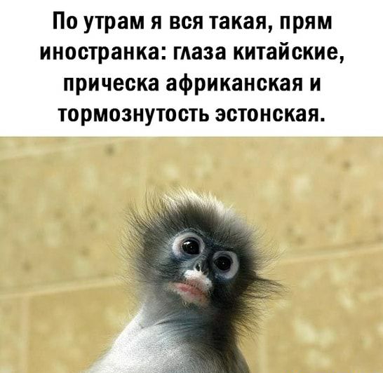 По утрам я вся такая прям иностранка глаза китайские прическа африканская и тормознутость эстонская