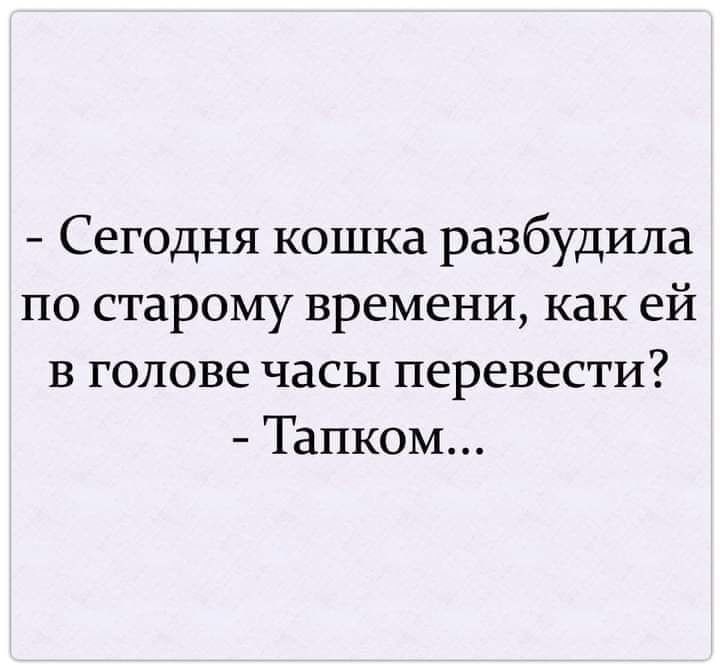 Сегодня кошка разбудила по старому времени как ей в голове часы перевести Тапком