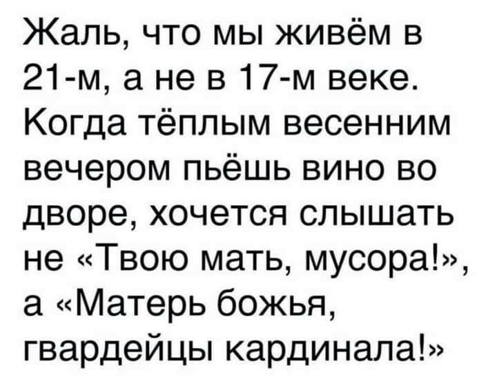 Жаль что мы живём в 21 м а не в 17 м веке Когда тёплым весенним вечером пьёшь вино во дворе хочется слышать не Твою мать мусора а Матерь божья гвардейцы кардинала