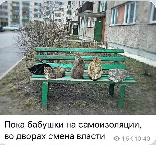 Пока бабушки на самоизоляции во дворах смена власти ч