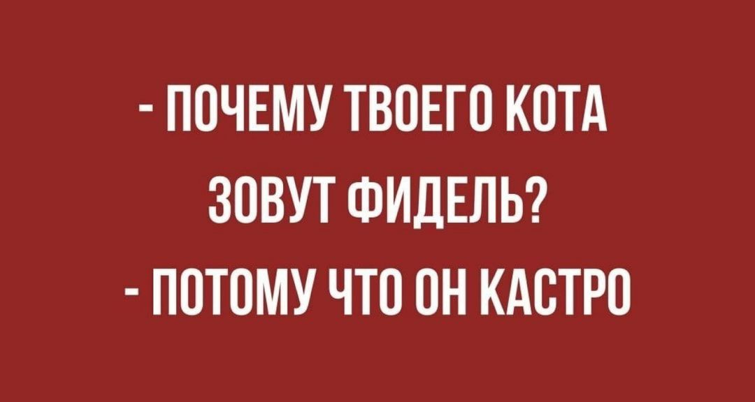 ПОЧЕМУ ТВОЕГО КОТА ЗОВУТ ФИДЕЛЬ ПОТОМУ ЧТО ОН КАОТРО