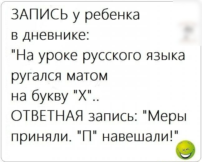 ЗАПИСЬ у ребенка в дневнике На уроке русского языка ругался матом на букву Х ОТВЕТНАЯ запись Меры приняли П навешали