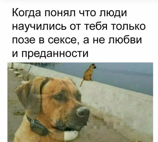 Когда понял что люди НЭУЧИЛИСЬ ОТ Тебя ТОЛЬКО ПОЗЭ В сексе а не ЛЮбВИ И преданности