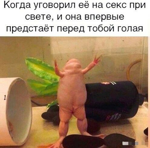 Когда уговорил её на секс при свете и она впервые предстаёт перед тобой голая