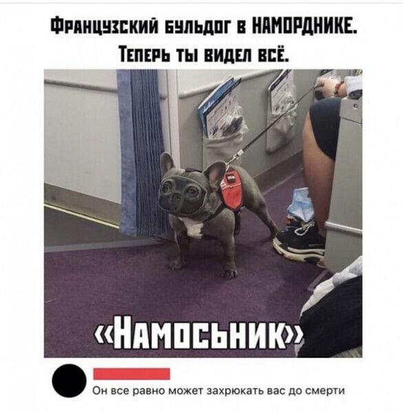 Фняицшкип нцльдпг нимппдниив ТЕПЕРЬ ты виды всЁ Нимппьнию Он все равно может захрюкать до смерти