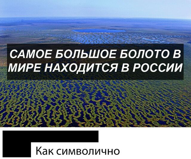 САМОЕ БОЛЬШОЕ БОЛОТО в ММИРЕ НАХОДИТСЯ в россии Как символично