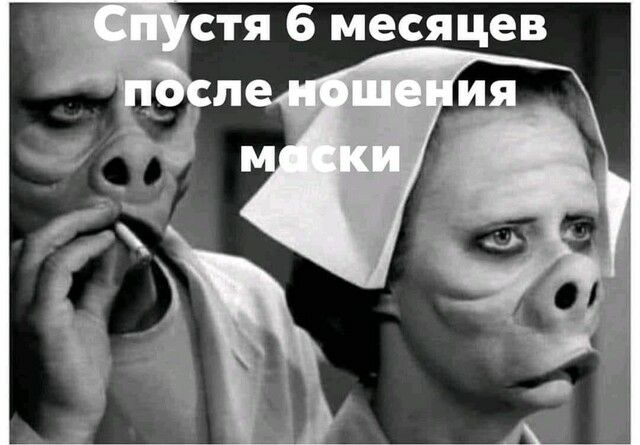 стя 6 месяцев