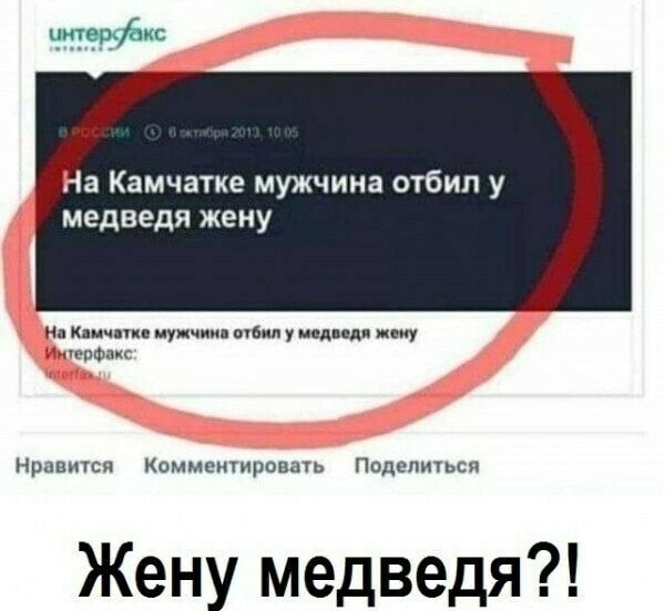 и На Камчатке мужчина отбил у медведя жену ил кли иуичиип судил у псд свя мяу чюпФпкс Нравится Комментировшь Подепшься Жену медведя