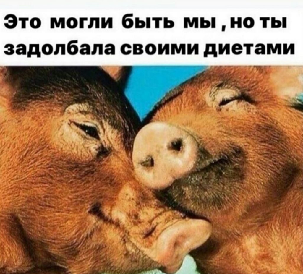 Это могли быть мы ноты задолбала своими диетами