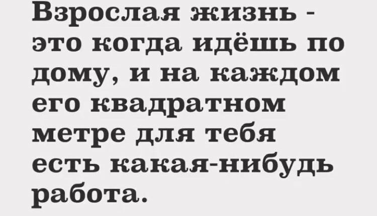 Взрослая жизнь это когда идёшь по дому и на каждом его квадратном метре для тебя есть какая нибудь работа