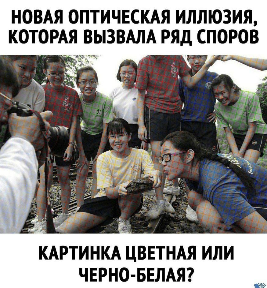 НОВАЯ ОПТИЧЕСКАЯ ИЛЛЮЗИЯ КОТОРАЯ ВЫЗВАЛА РЯД СПОРОВ КАРТИНКА ЦВЕТНАЯ ИЛИ ЧЕРНО БЕЛАЯ