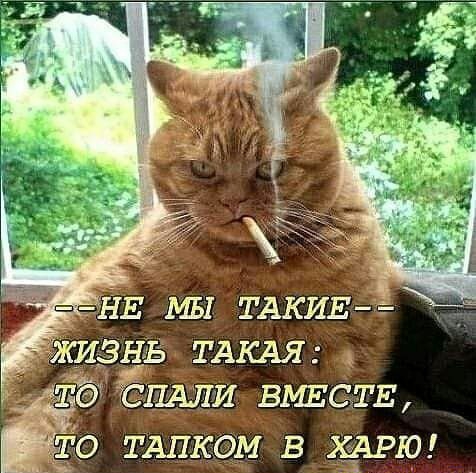 О ТАНКОМ В АРЮ