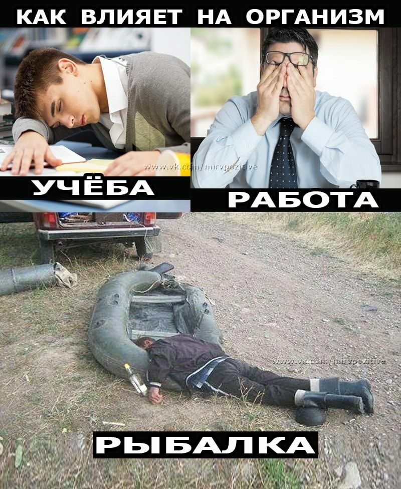 КАК ВЛИЯЕТ НА ОРГАНИЗМ