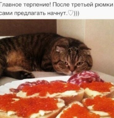 юи шрнснис пне рюмки шм Предпагать ачну