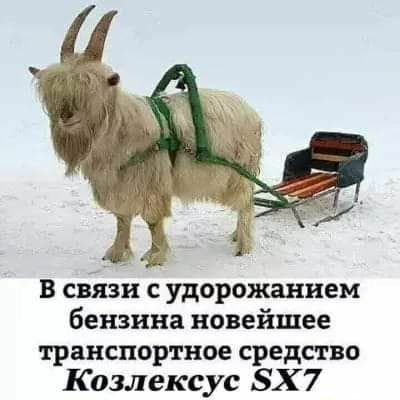 в связи с удорожанием бензина новейшее транспортное средство Козлексус БХ 7