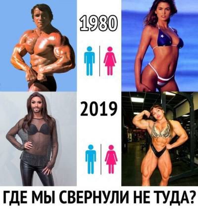 398 2019 ИР ГДЕ МЫ СВЕРНУЛИ НЕ ТУДА