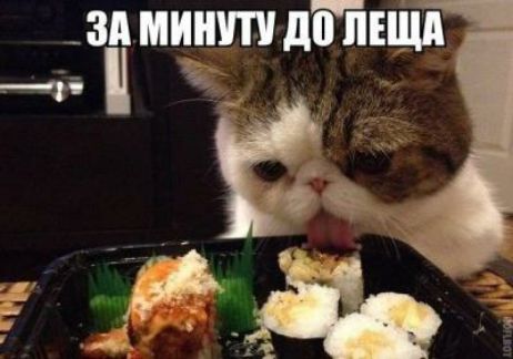 _зд мнит діълпш ___