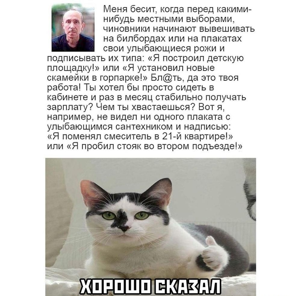 Меня бесит когда перед какими нибудь местными выборами чиновники начинают вывешивать на билбордах или на плакатах свои улыбающиеся рожи и подписывать их типа Я построил детскую площадку или Я установил новые скамейки в горпарке Блть да это твоя работа Ты хотел бы просто сидеть в кабинете и раз в месяц стабильно получать зарплату Чем ты хвастаешься Вот я например не видел ни одного плаката с улыбаю