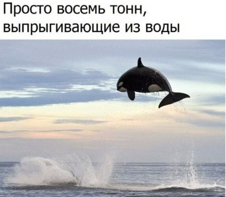 Просто восемь тонн выпрыгивающие из воды