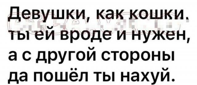 Девушки как кошки ты ей вроде и нужен а с другой стороны да пошёл ты нахуй