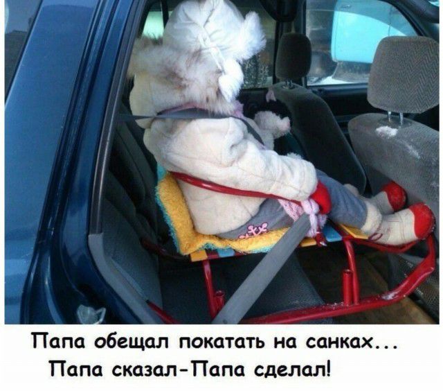 Папа обещал ПОКОТОТЬ на санках ПО сказал Папа СДВПОЛ