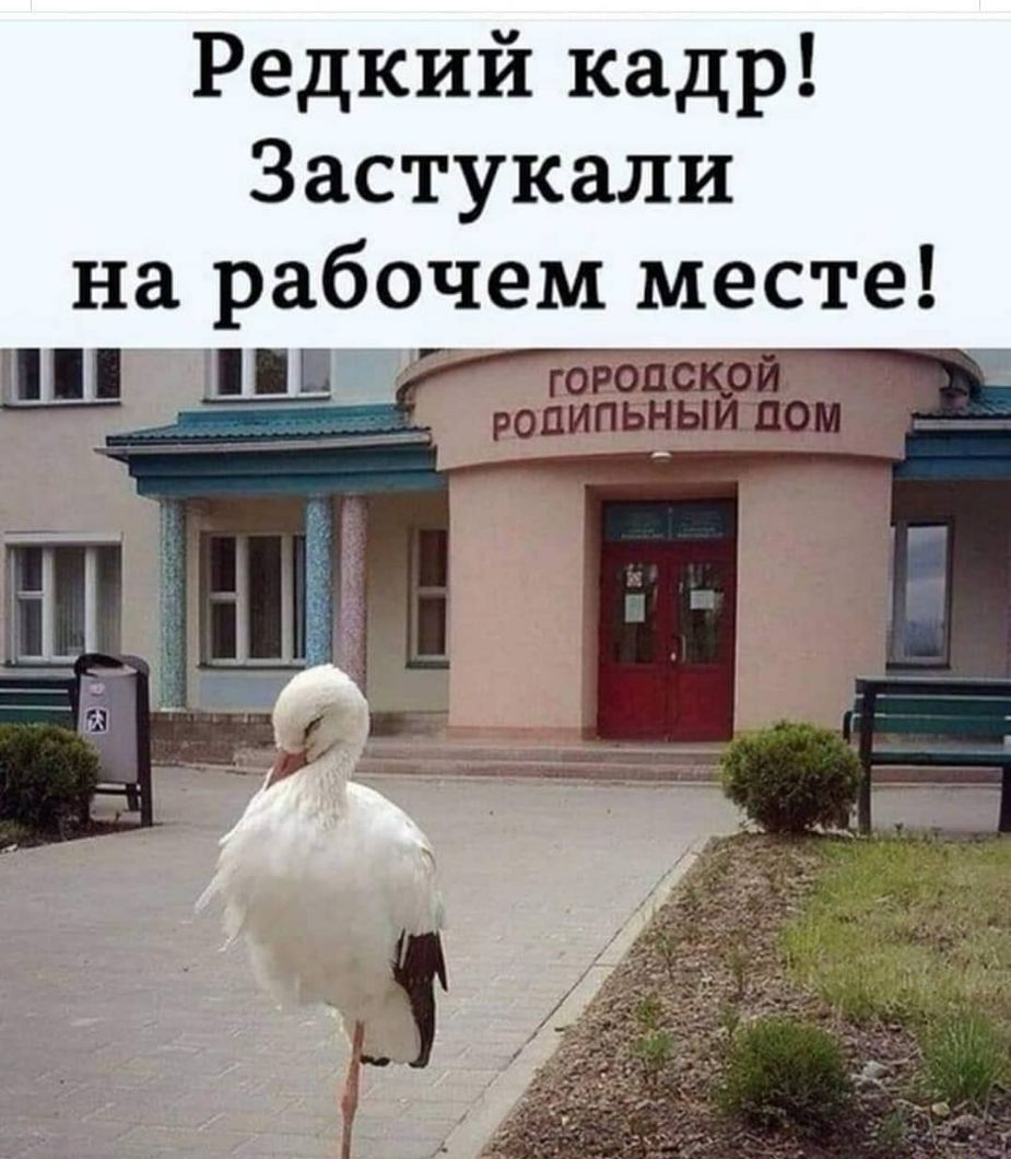 Редкий кадр Застукали на рабочем месте