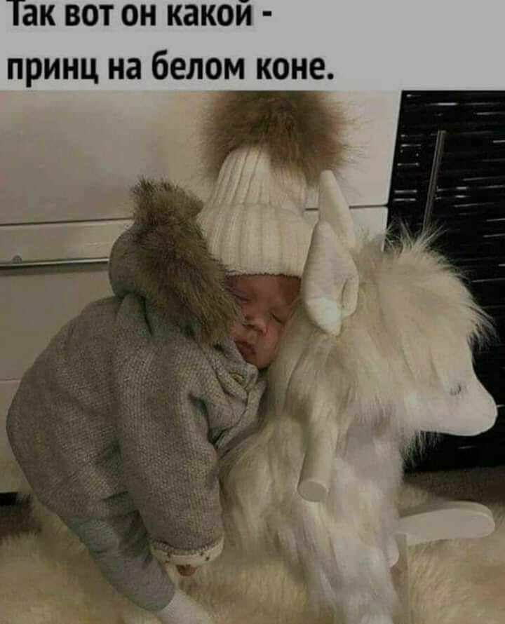Так вот он какой принц на белом коне